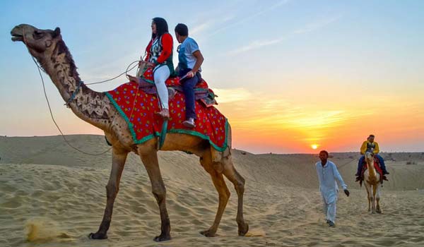 Sunrise camel safari