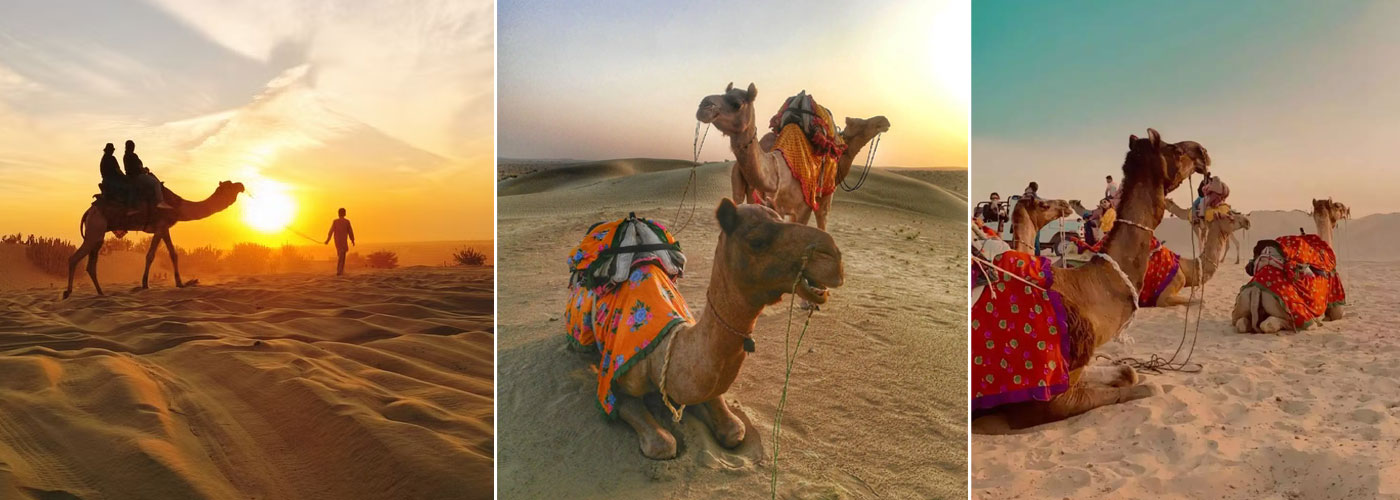 Camel Safari Jaisalmer